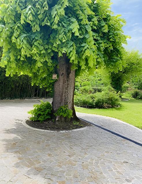 Domaine De Garat Bed and Breakfast Floirac  Εξωτερικό φωτογραφία